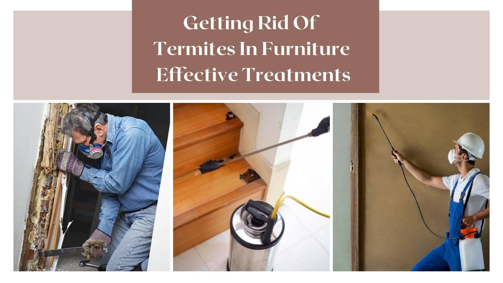 Getting Rid of Termites In Furniture Effective Treatments